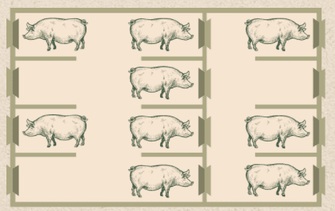 loose sow housing