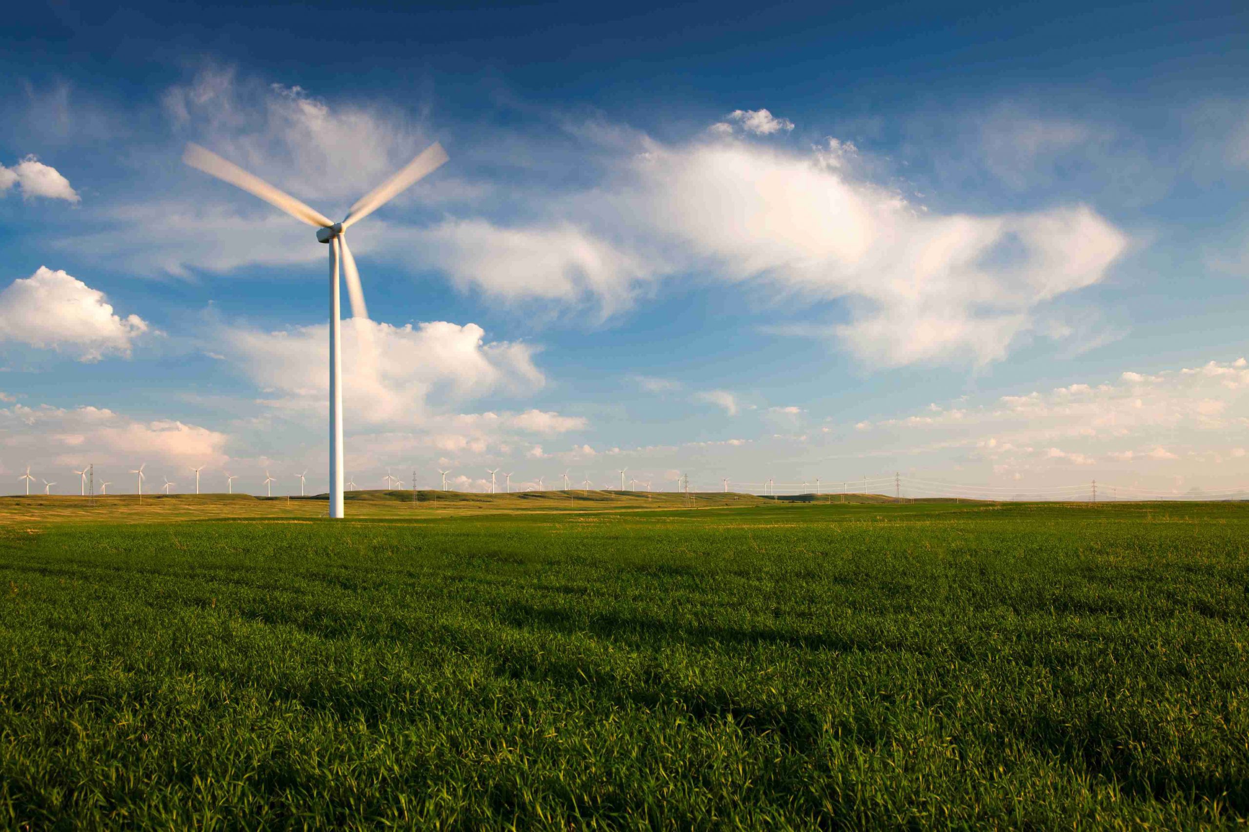 Green field with Windmill