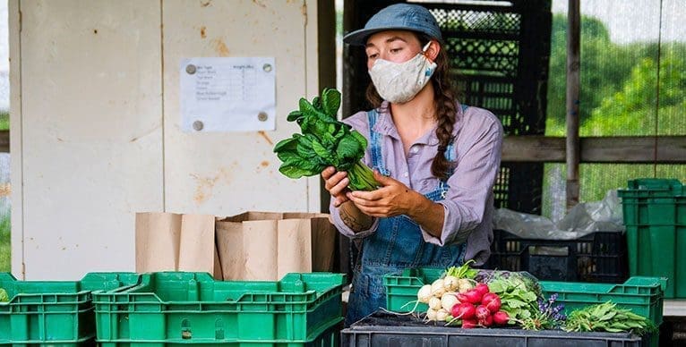 Person working at the farmer's market