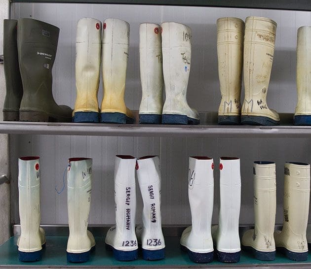 Rubber boots at the Saskatoon plant