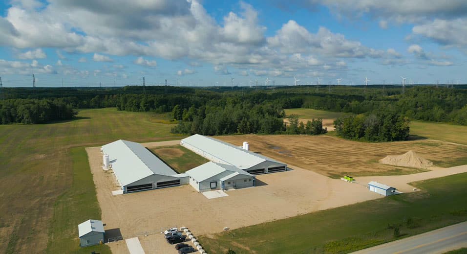 Maple Leaf Foods farm