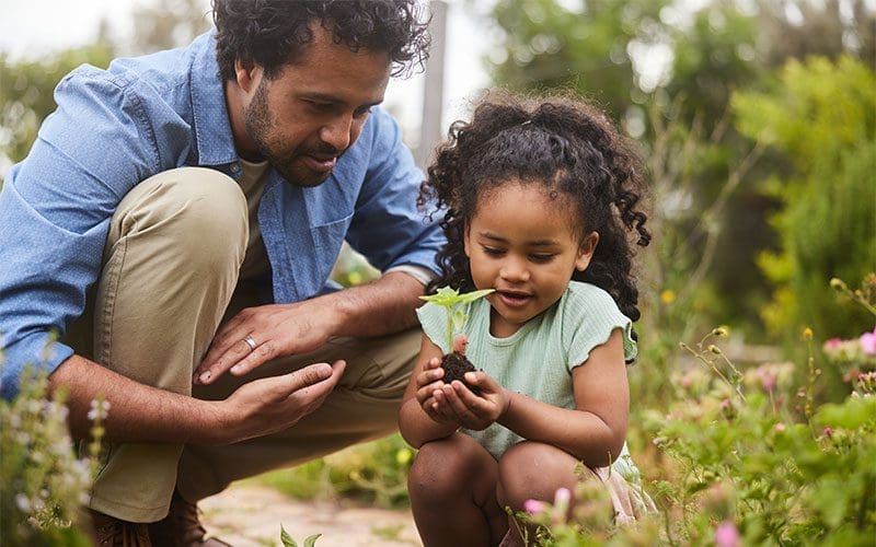 father and daughter planting in a garden