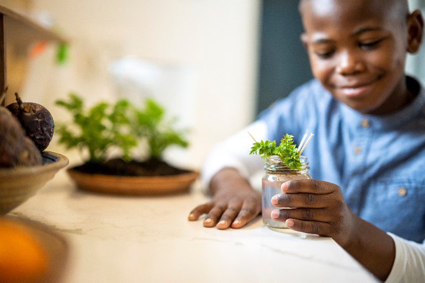 little boy growing his own greens