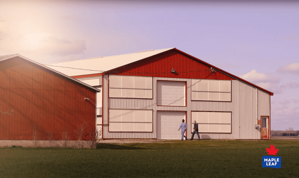 Maple-Leaf-Foods-Outside-Poultry-Barn