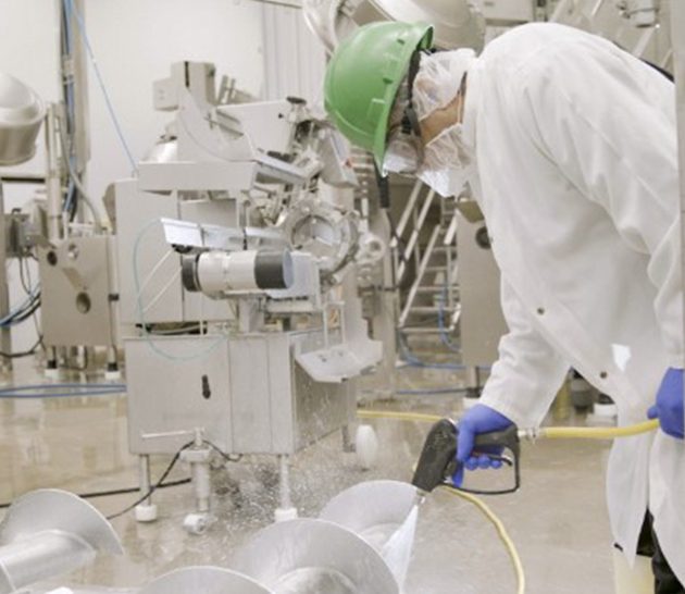 Team Member Cleaning Plant