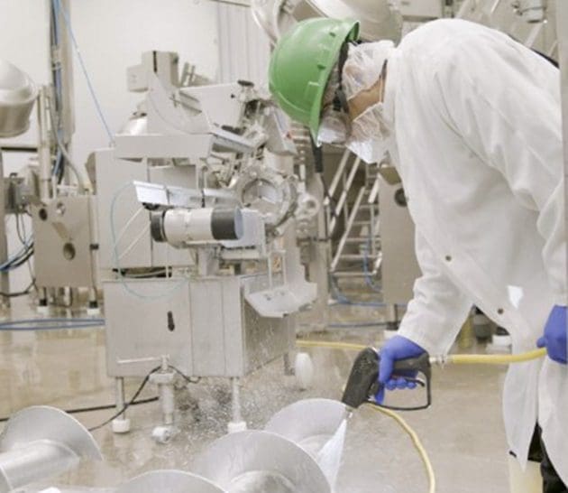 Team Member Cleaning Plant