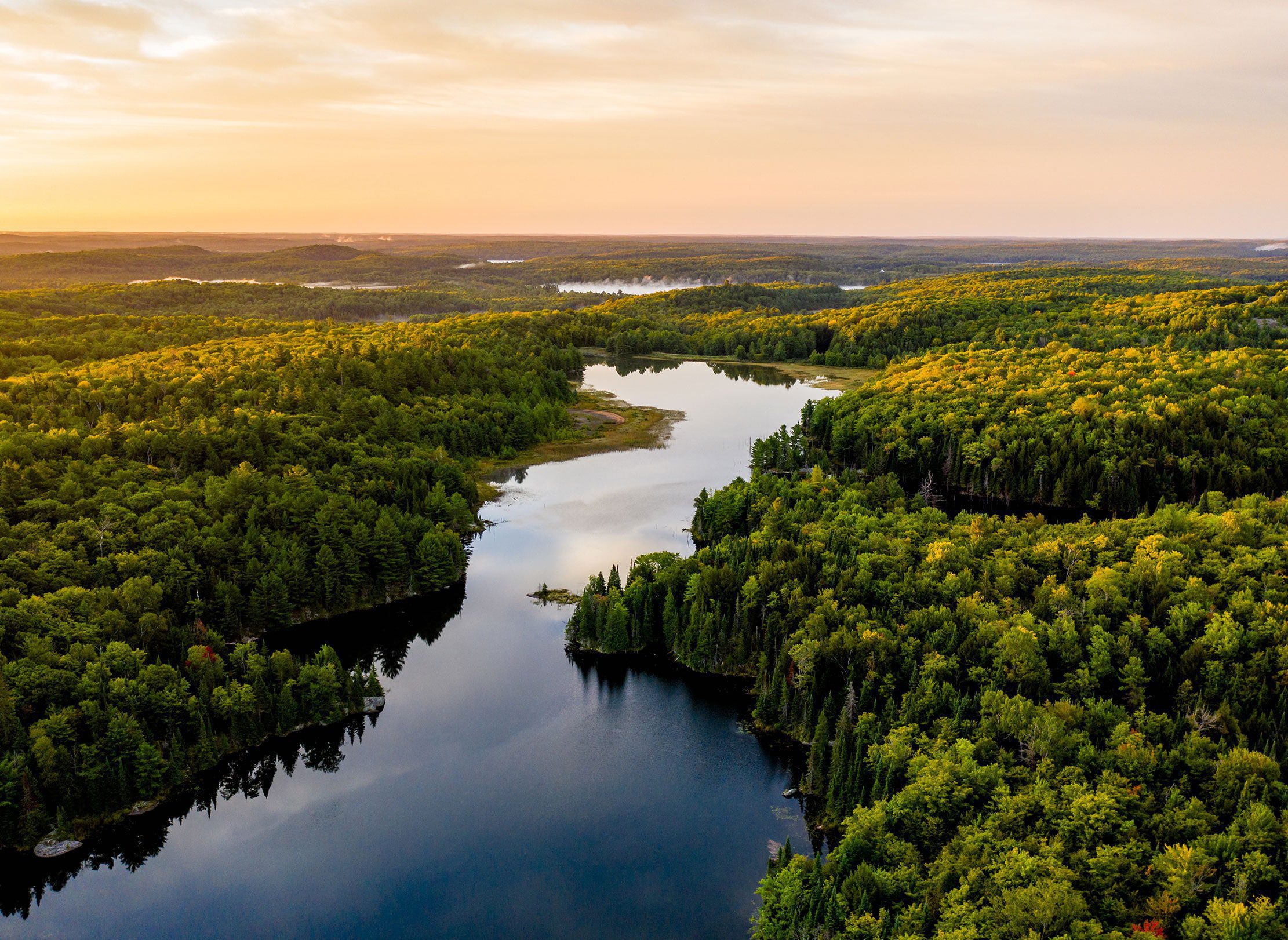 Arial view of a river running through a forest in Canada.