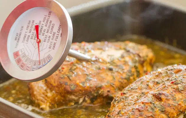 Meat thermometer