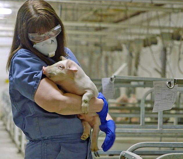 LeeAnn holding a piglet