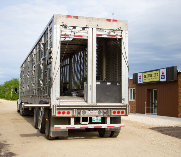 Remorque cochon à l'extérieur de Greenfield Barn